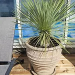 Panoramic Pool Retreat - By Traum Ferienwohnungen *